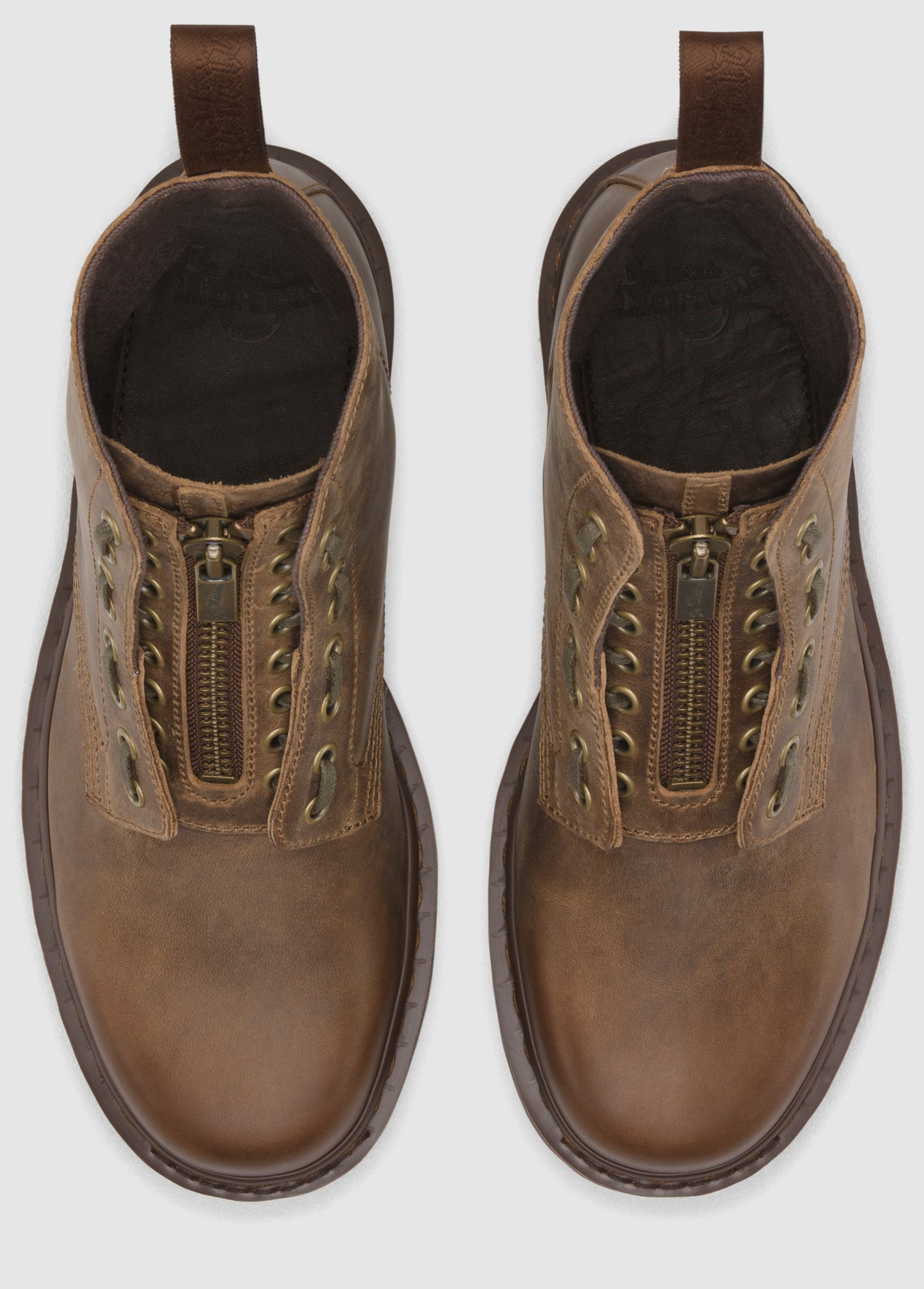 JACE SHETLAND THUMPER