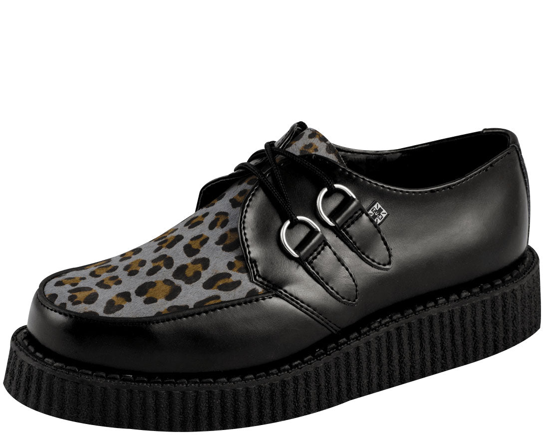 tuk creepers leopard