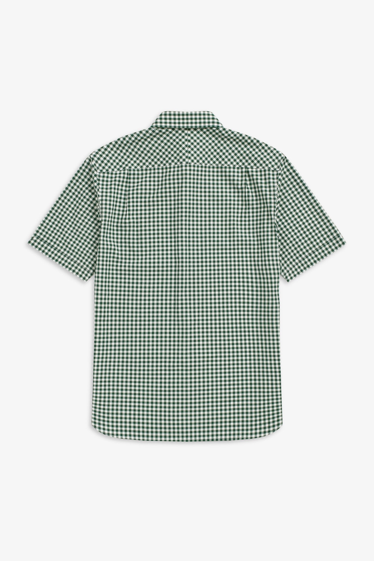 Button Down Shirt (ivy)