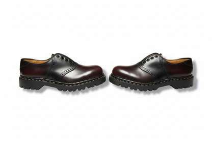Pair of brown leather shoes on a white background