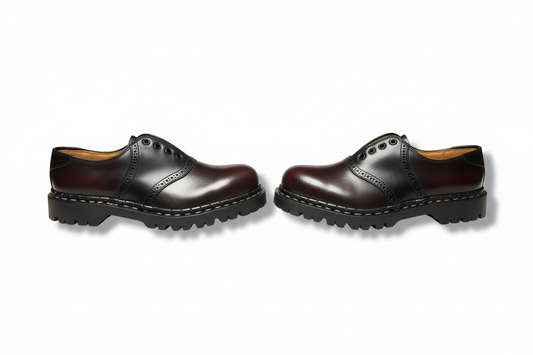 Pair of brown leather shoes on a white background