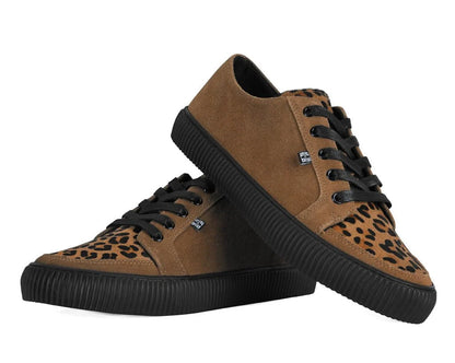 TUK Brown & Leopard Suede Lace-Up Creeper Sneaker